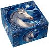 Unicorn Treasure Box
