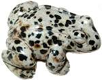 Dalmatian Jasper Frog