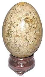 Fossil Jasper Egg