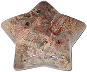 Silverleaf Carved Star