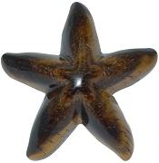 Tiger Eye Starfish Carving