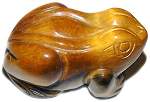 Tiger Eye Frog