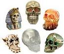 Skull Busts