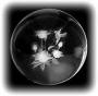 3D Flowers Crystal Ball