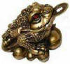 Gold Money Frog $3.95