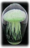 Glow Jellyfish Paperweight