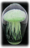 Glow Jellyfish Paperweight