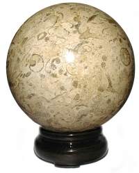 6" Fossil Jasper Sphere 