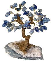 Large Bonsai Sodalite Tree