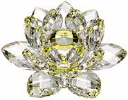 Yellow Crystal Lotus