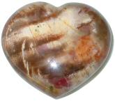 Petrified Wood Heart