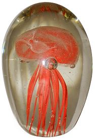 Orange Glass Jellyfish