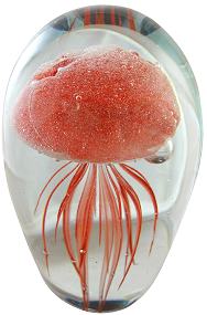Red  Glass Jellyfish
