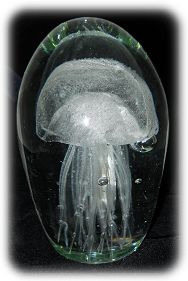 White Glass Jellyfish