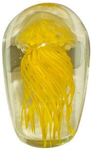 Yellow Glass Jellyfish