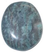 Blue Fossil Palm Stone
