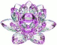 Purple Crystal Lotus