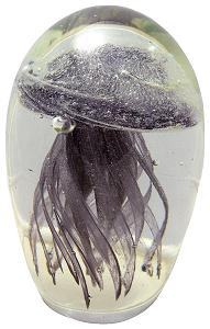 Purple Glass Jellyfish