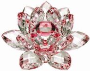 Red Crystal Lotus