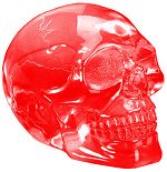Red Lucite Skull Bust