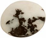 Zebra Jasper Palm Stone