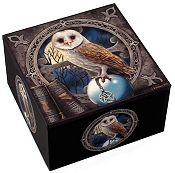 Fantasy Treasure Box