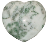 Tree Agate Heart