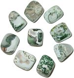 Tree Agate Tumbled Stones