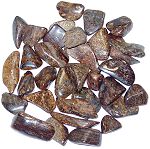 Bronzite Tumbled Stones