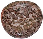 Leopardskin Worry Stone